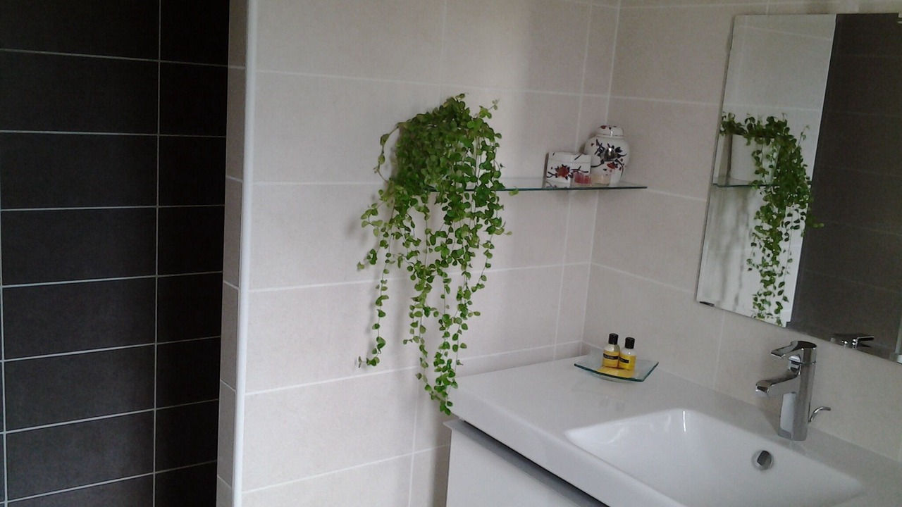 Photo of Bathroom in Guzargues