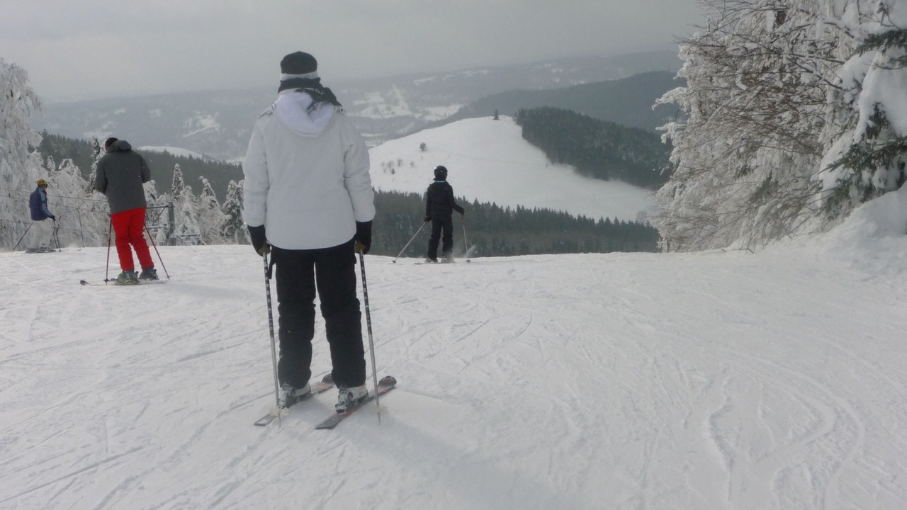 Photo of Others in Le Menil