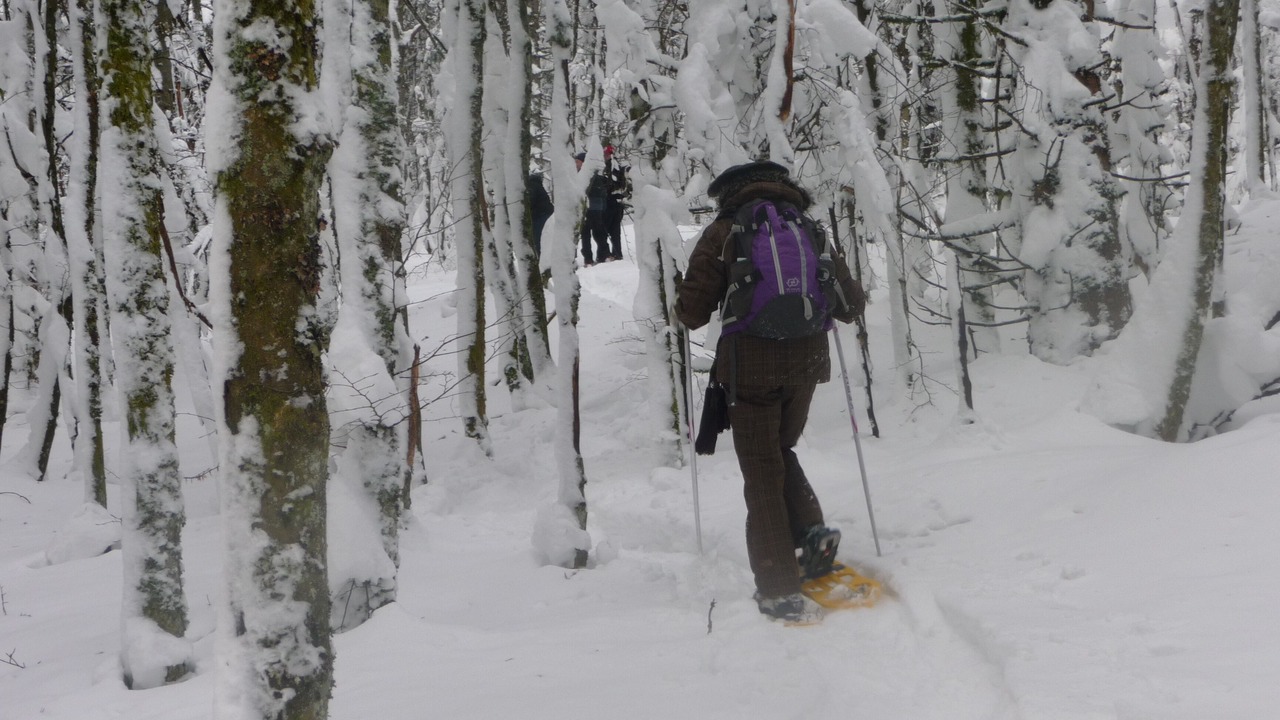 Photo of Others in Le Menil