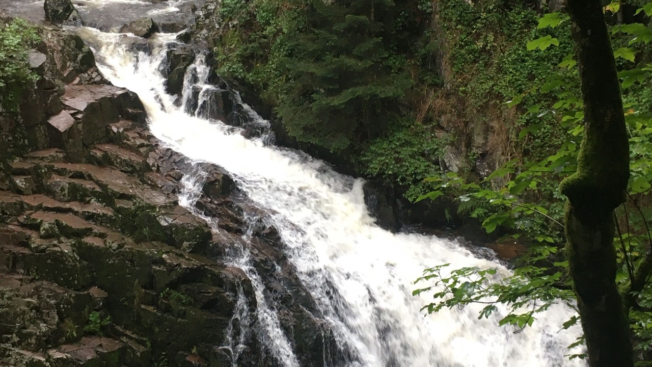Photo of Outdoor in Le Menil