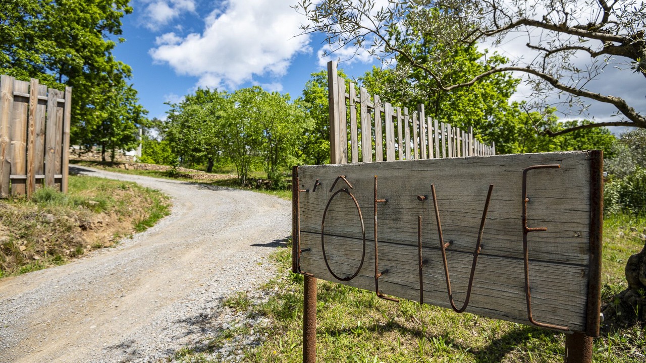 Photo of Outdoor in Payzac