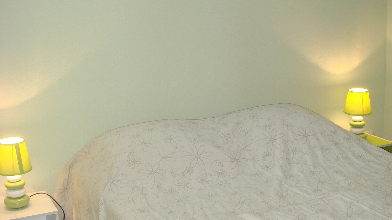 Photo of Bedroom in Meursanges