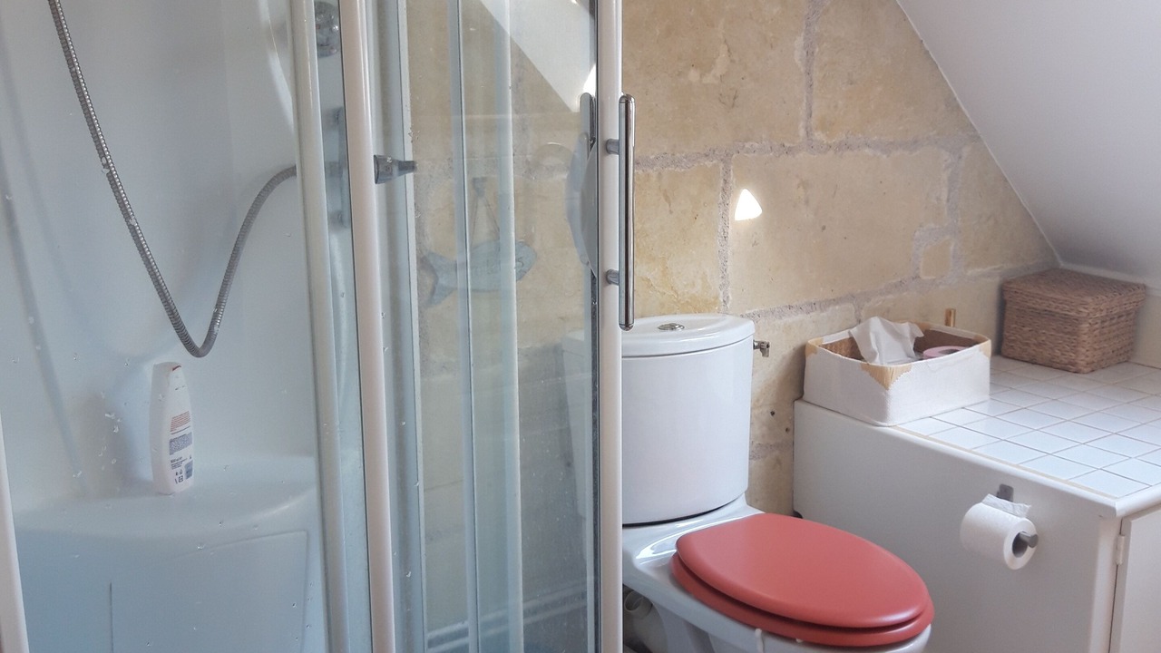 Photo of Bathroom in Villandry