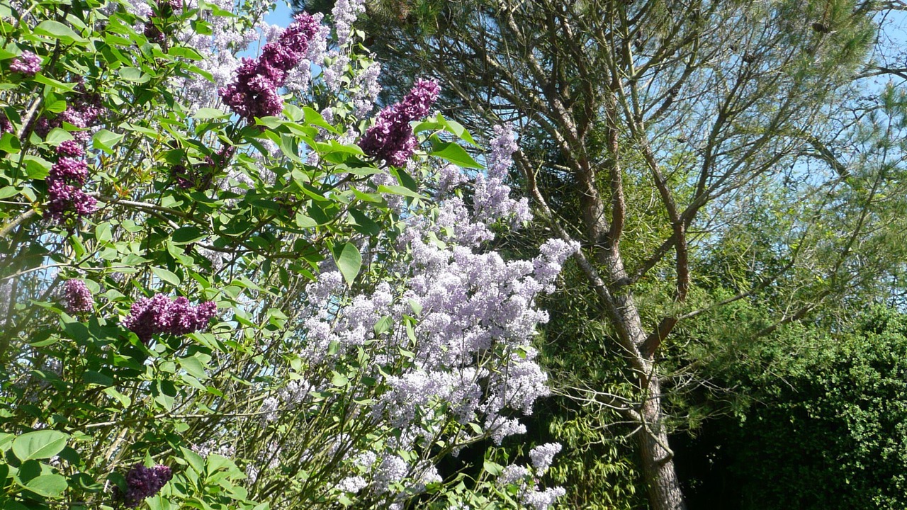 Photo of Outdoor in Ossages