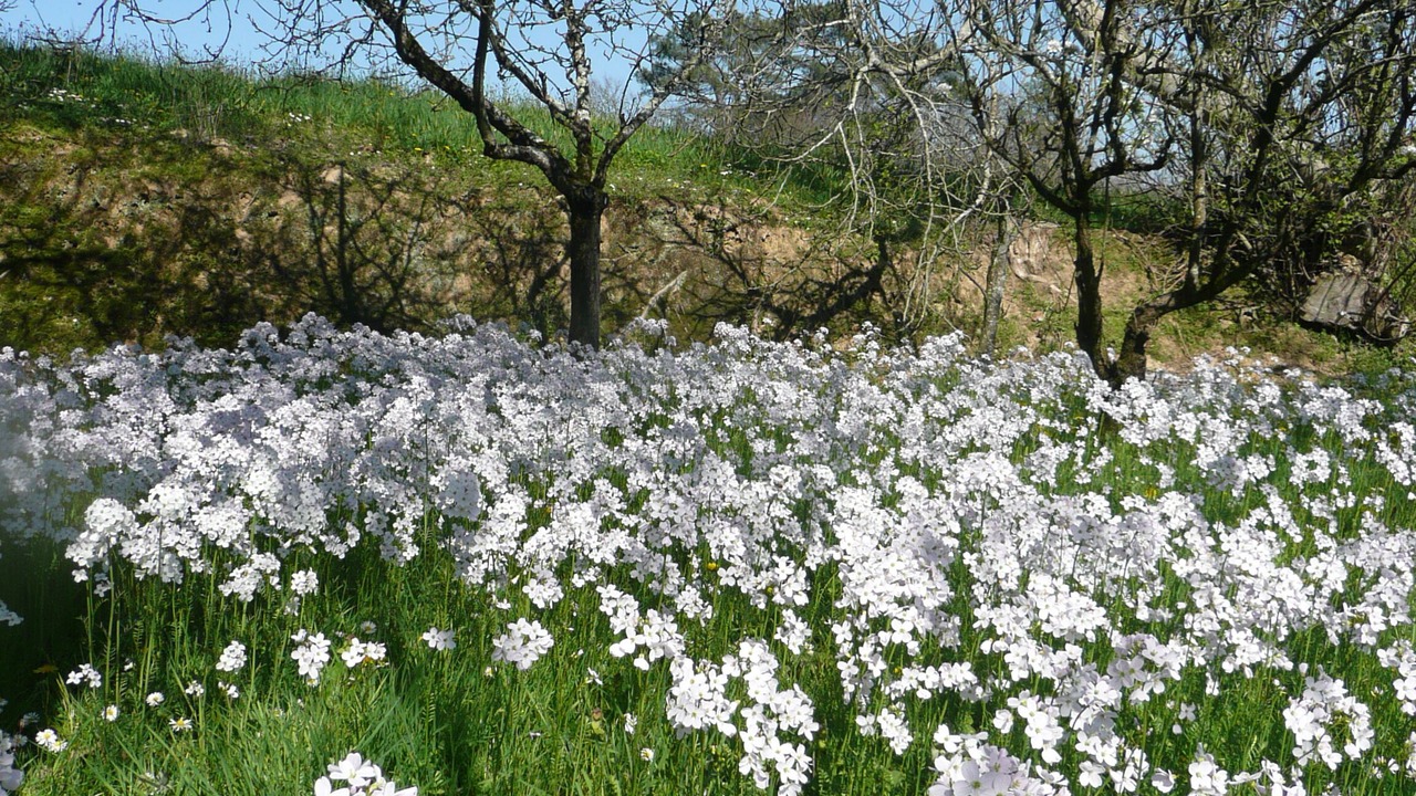 Photo of Outdoor in Ossages