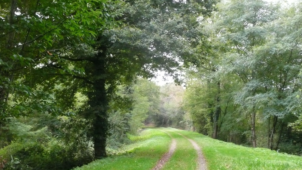 Photo of Outdoor in Ossages
