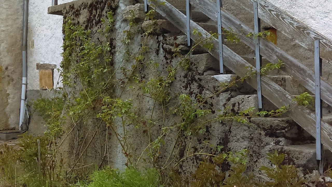 Photo of Outdoor in Fayet-Ronaye