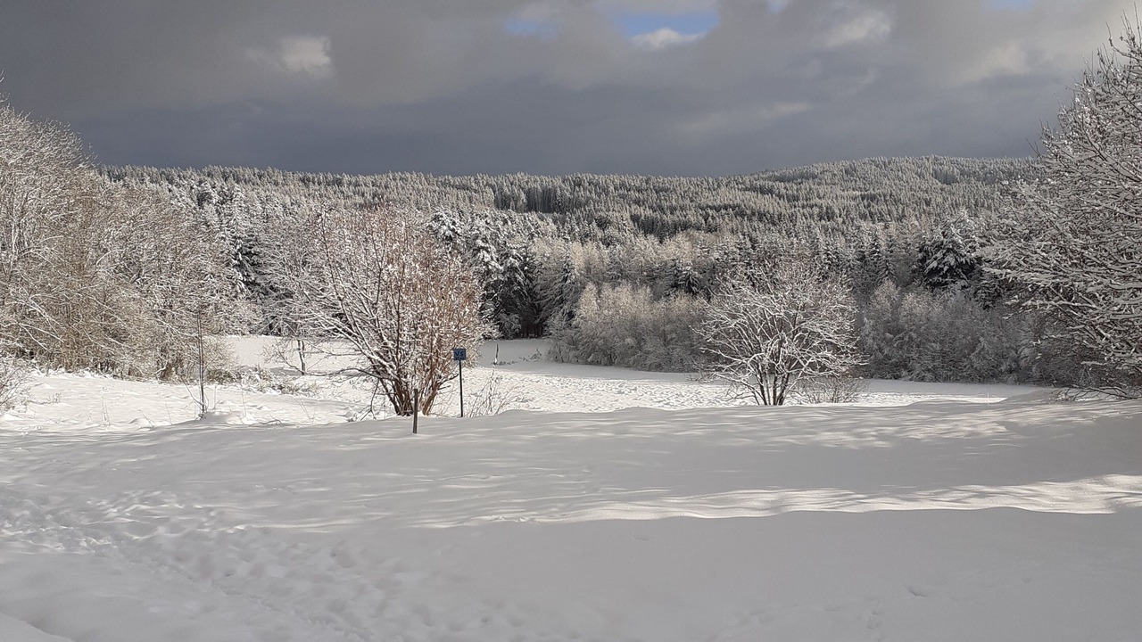 Photo of Others in Fayet-Ronaye