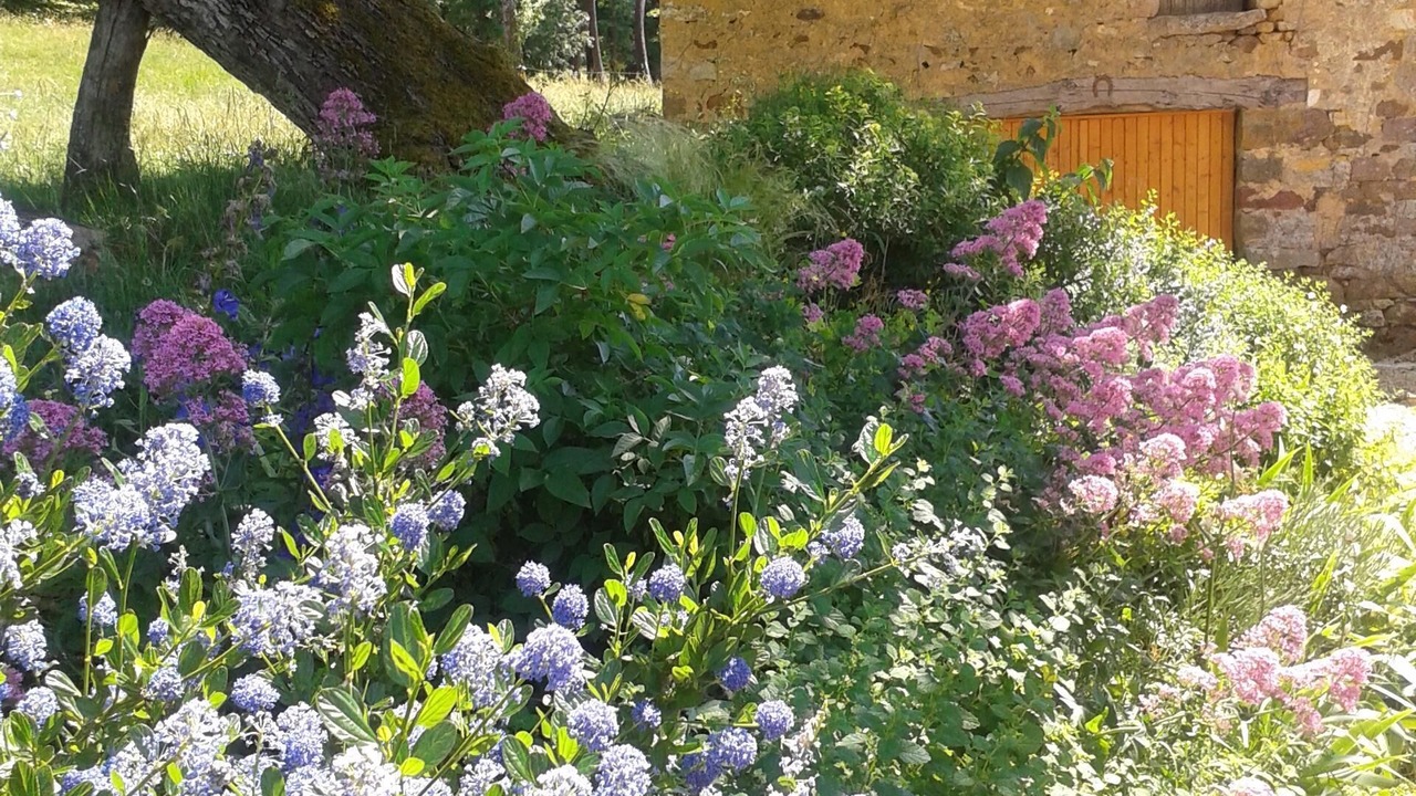 Photo of Outdoor in Saint-Laurent-la-Vallee