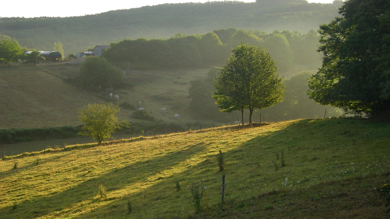 Photo of Outdoor in Saint-Laurent-la-Vallee