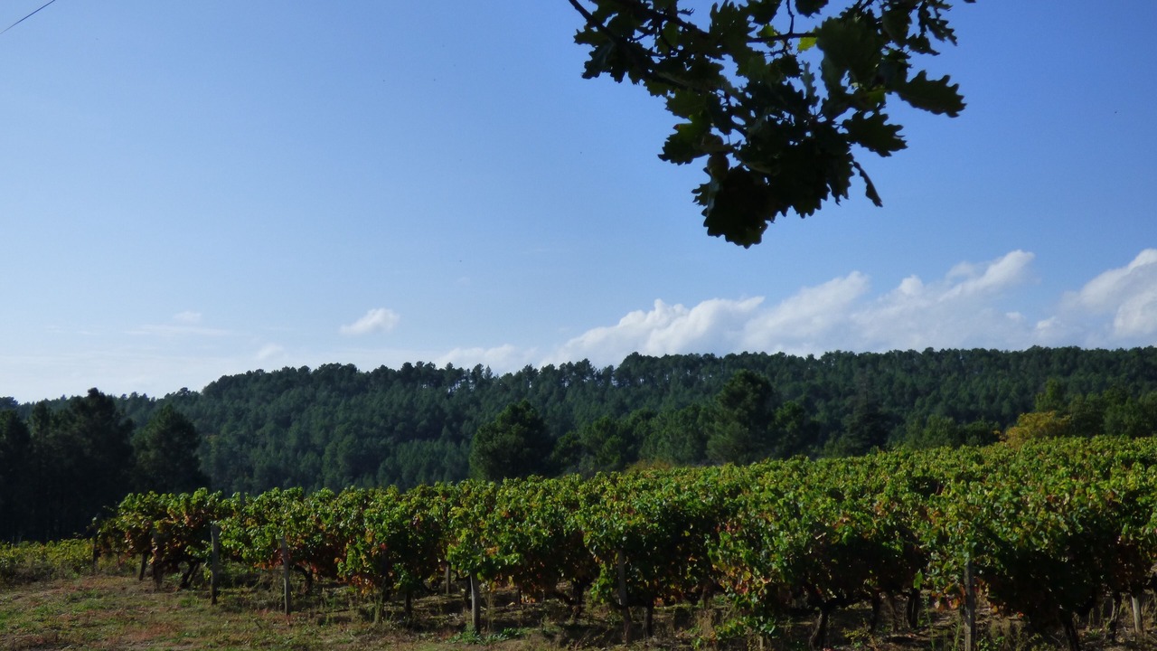 Photo of Outdoor in Payzac