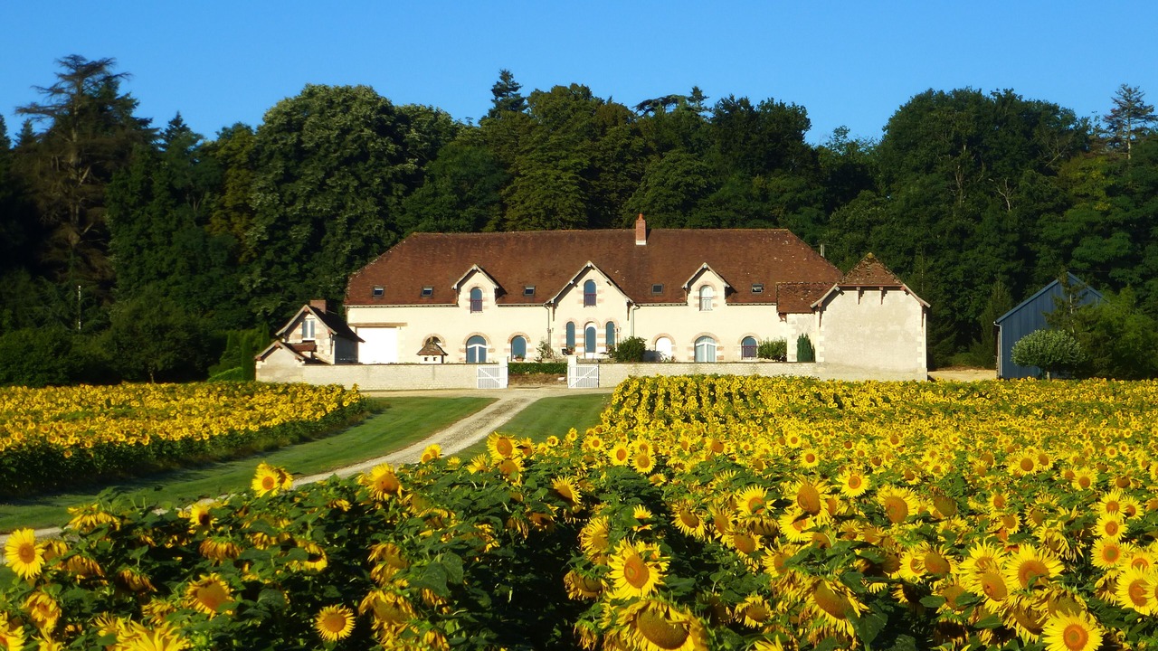 Photo of Outdoor in Saint-Jean-Saint-Germain