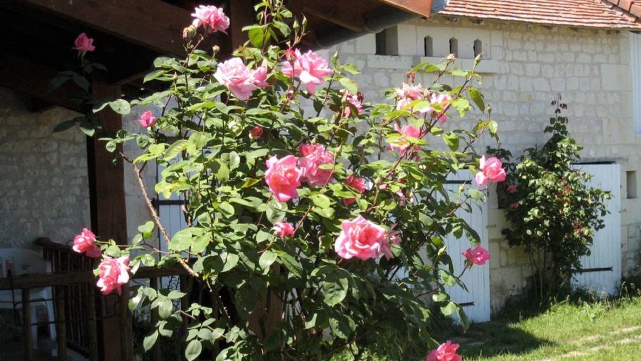 Photo of Outdoor in Assay