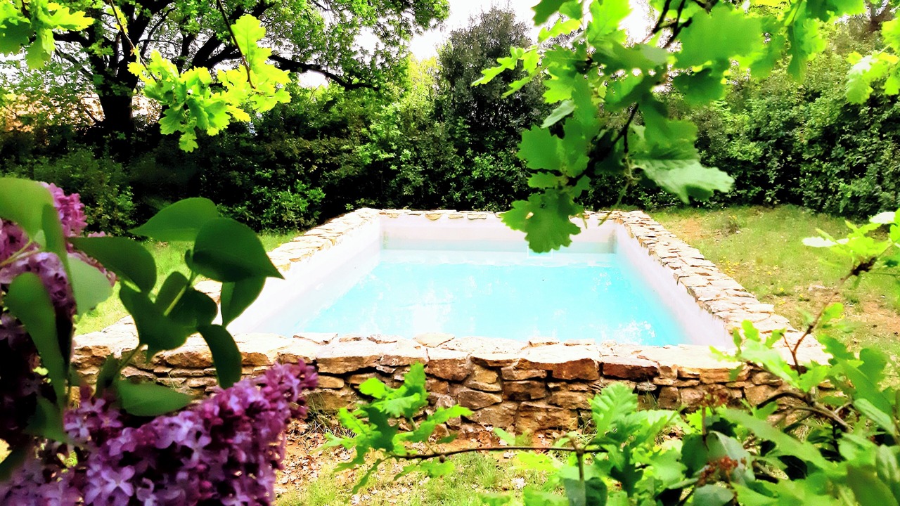 Photo of Outdoor in Piolenc