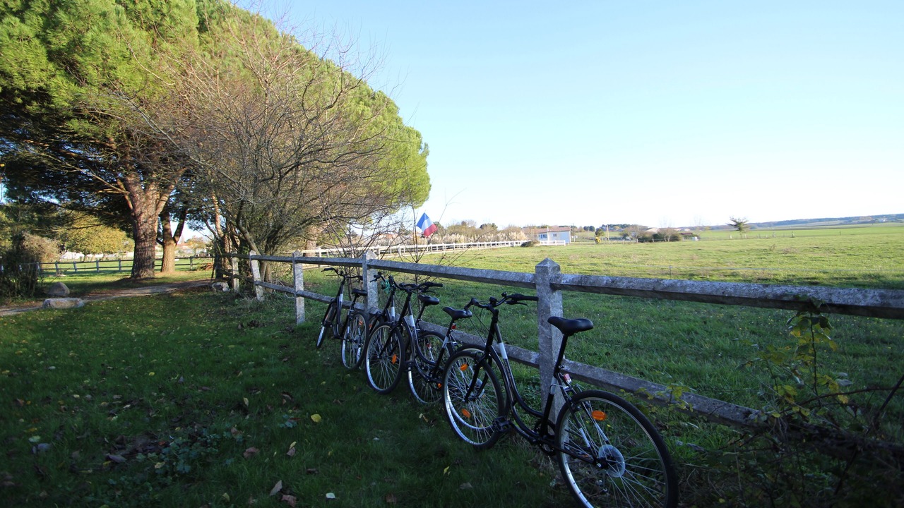 Photo of Outdoor in Arvert