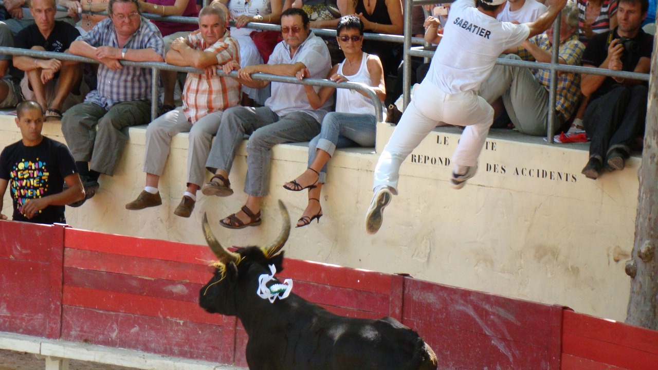 Photo of Others in Sommieres