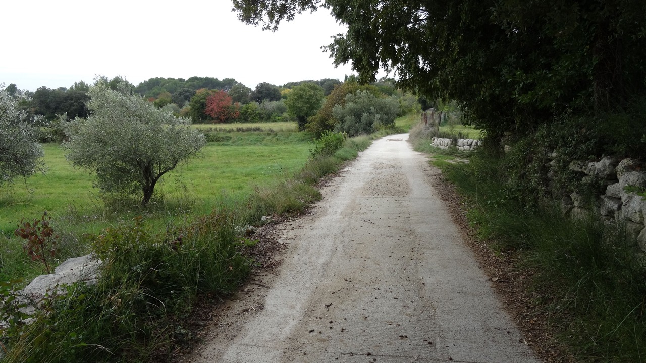 Photo of Outdoor in Sommieres