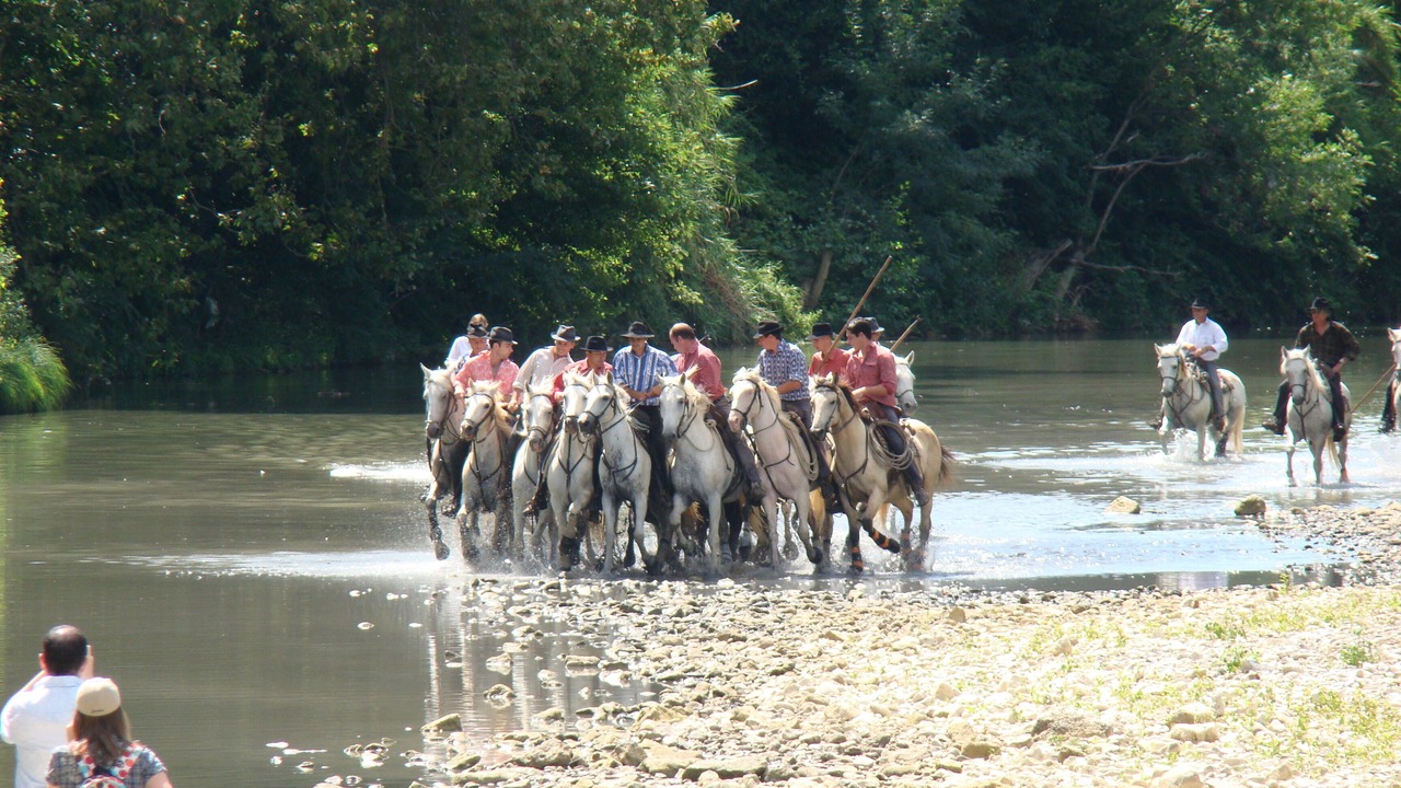 Photo of Others in Sommieres