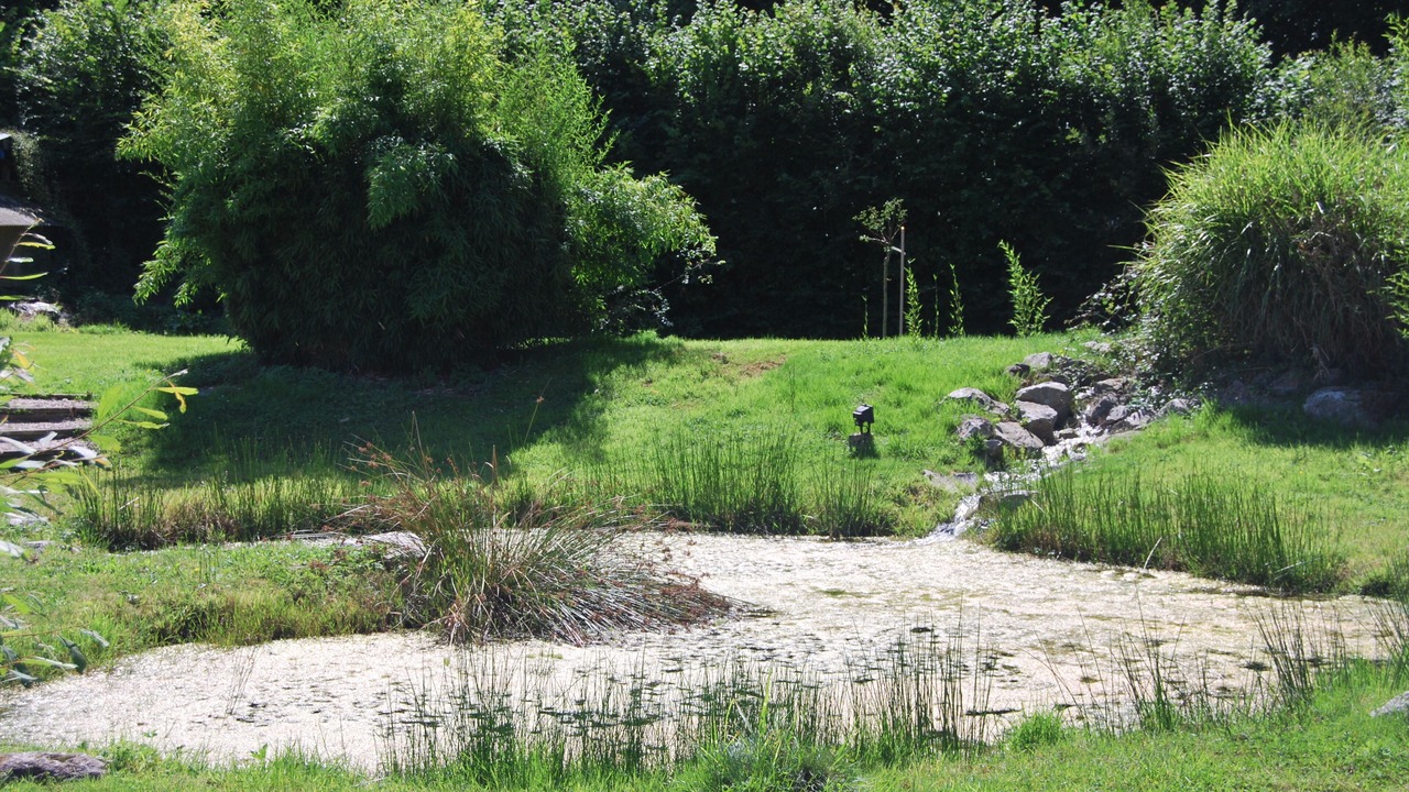 Photo of Outdoor in Cormeilles