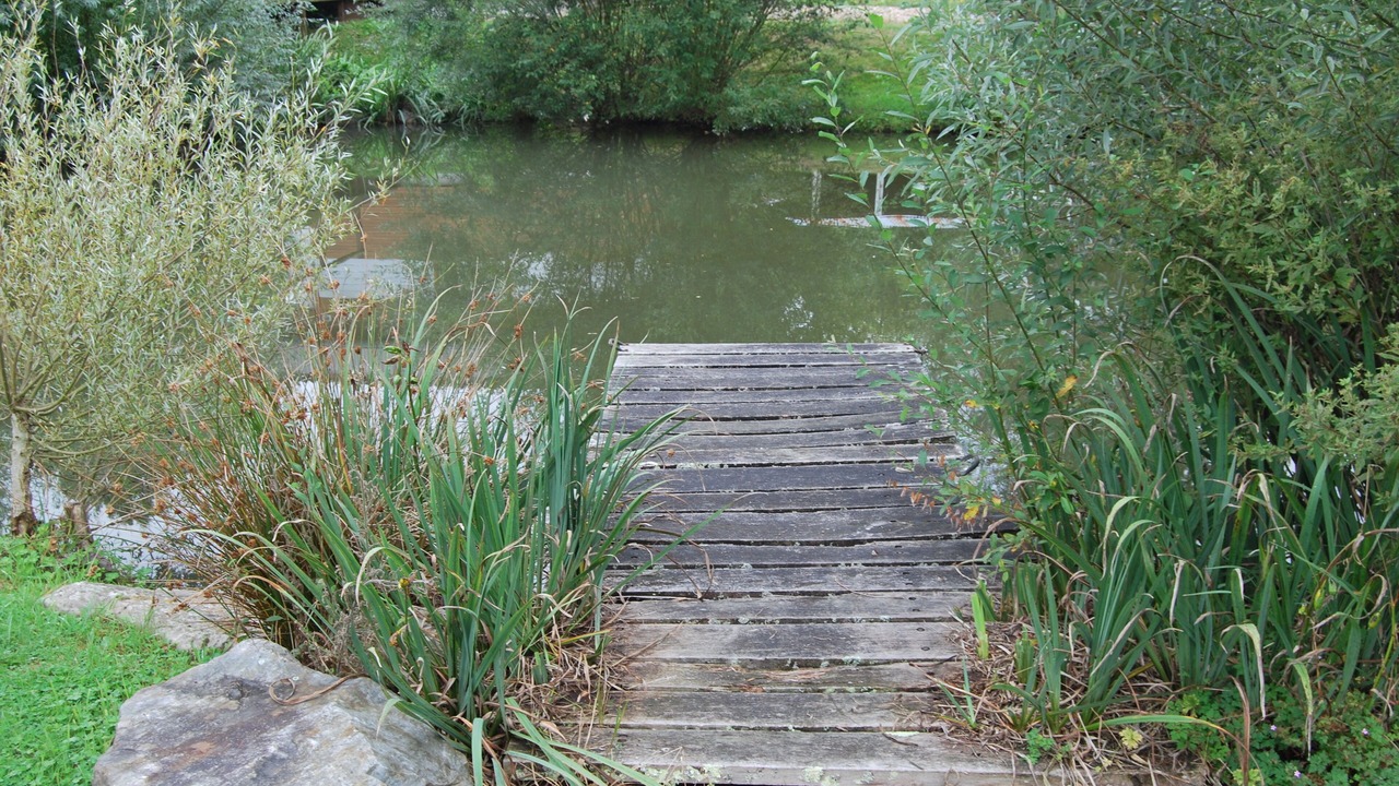 Photo of Outdoor in Cormeilles