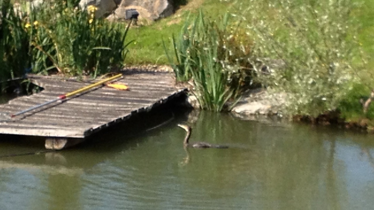 Photo of Outdoor in Cormeilles