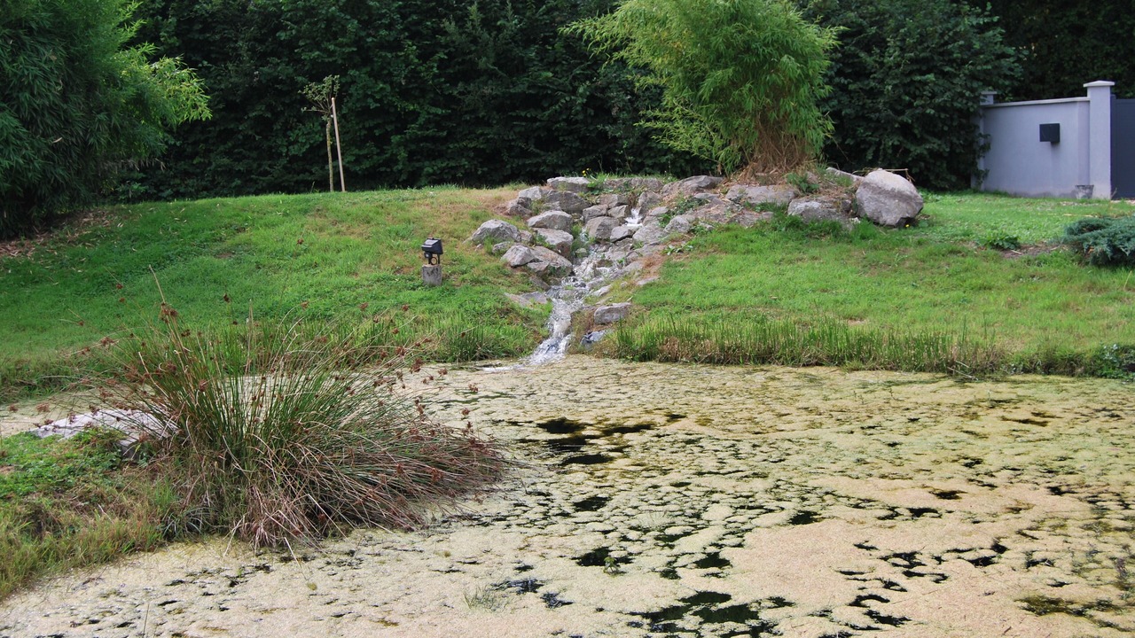 Photo of Outdoor in Cormeilles