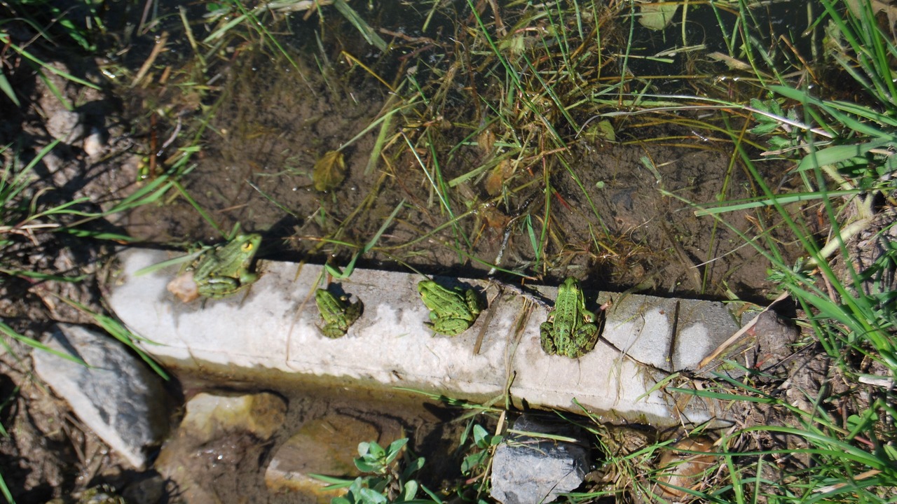 Photo of Outdoor in Cormeilles