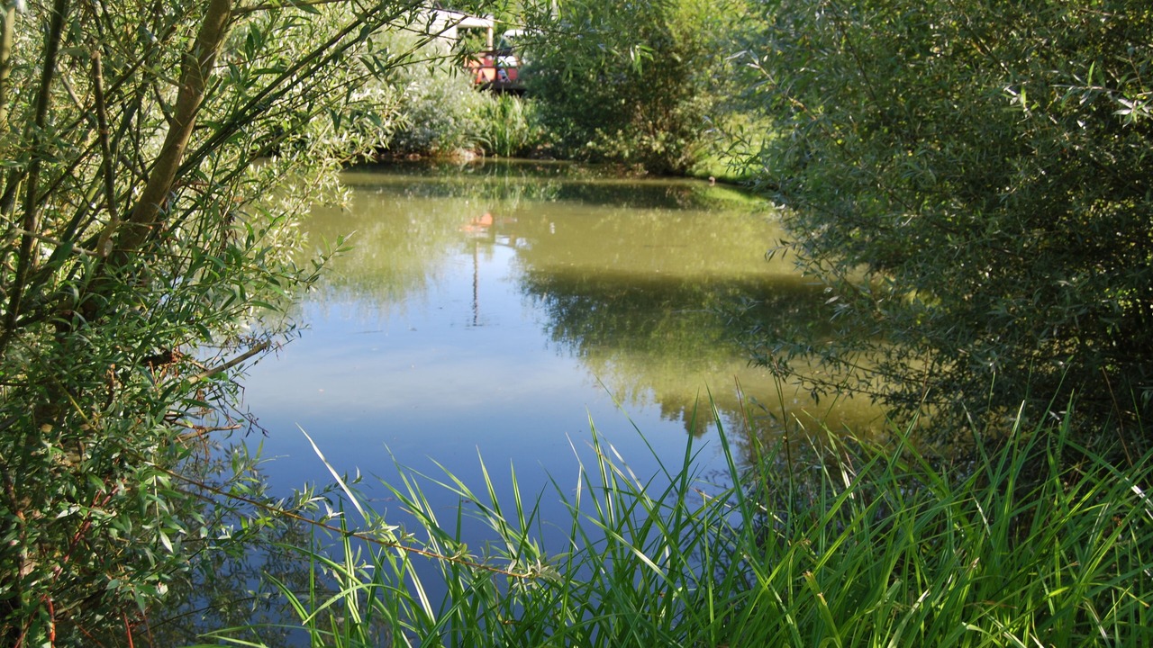 Photo of Outdoor in Cormeilles