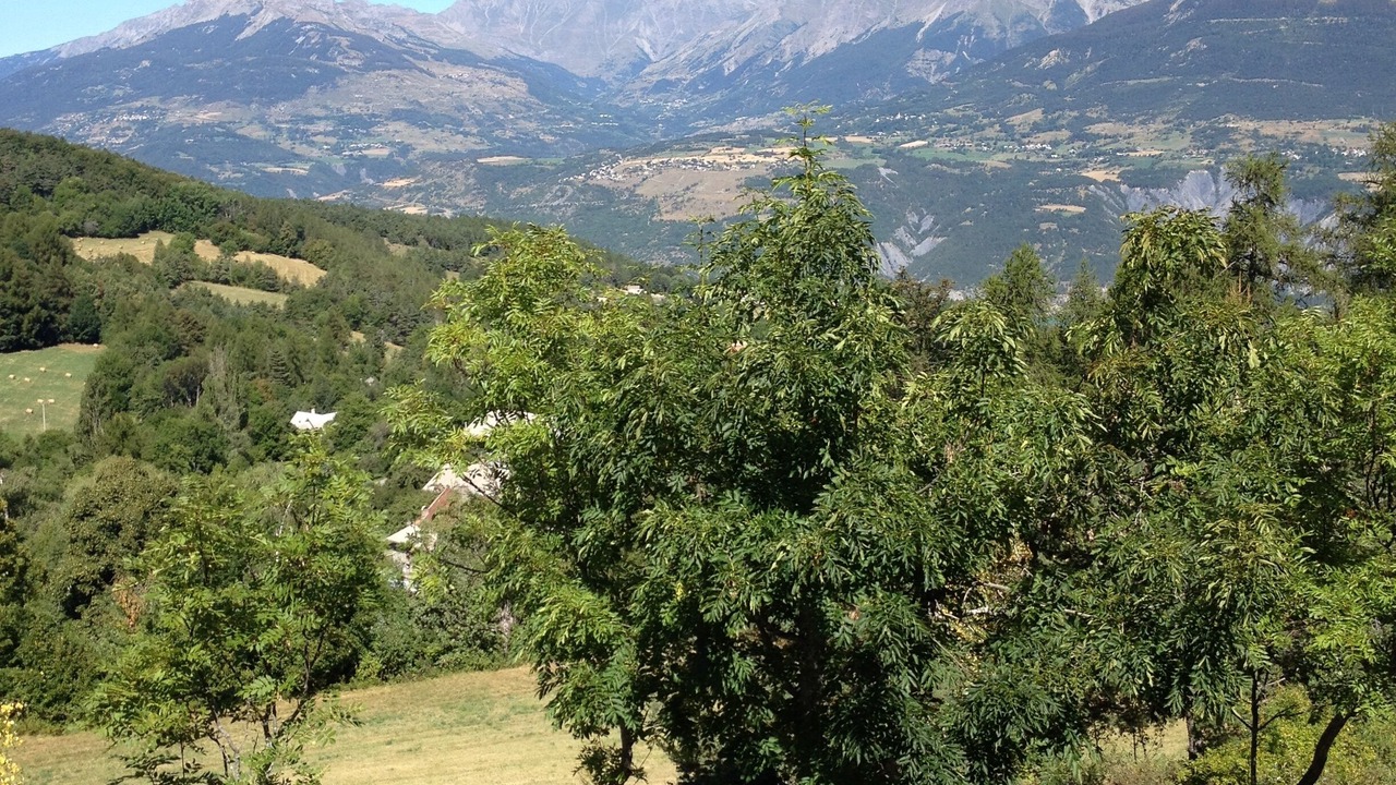 Photo of Outdoor in Les Sagnieres