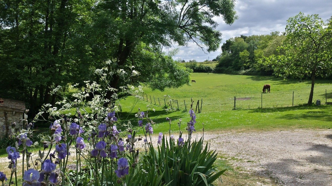 Photo of Outdoor in Villegouge