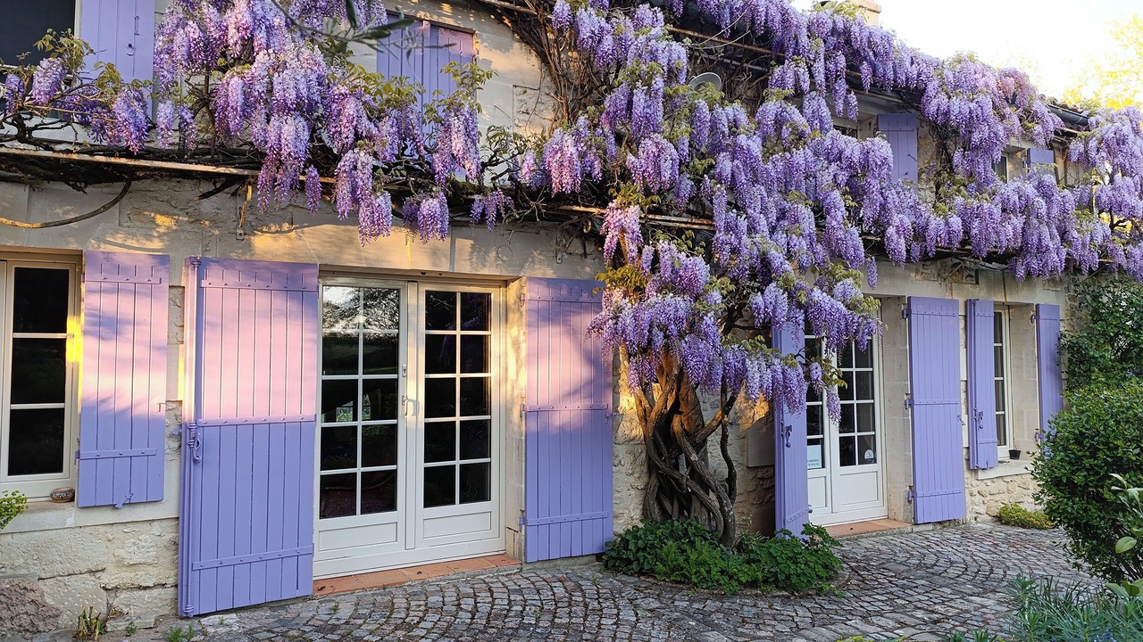 Photo of Outdoor in Villegouge