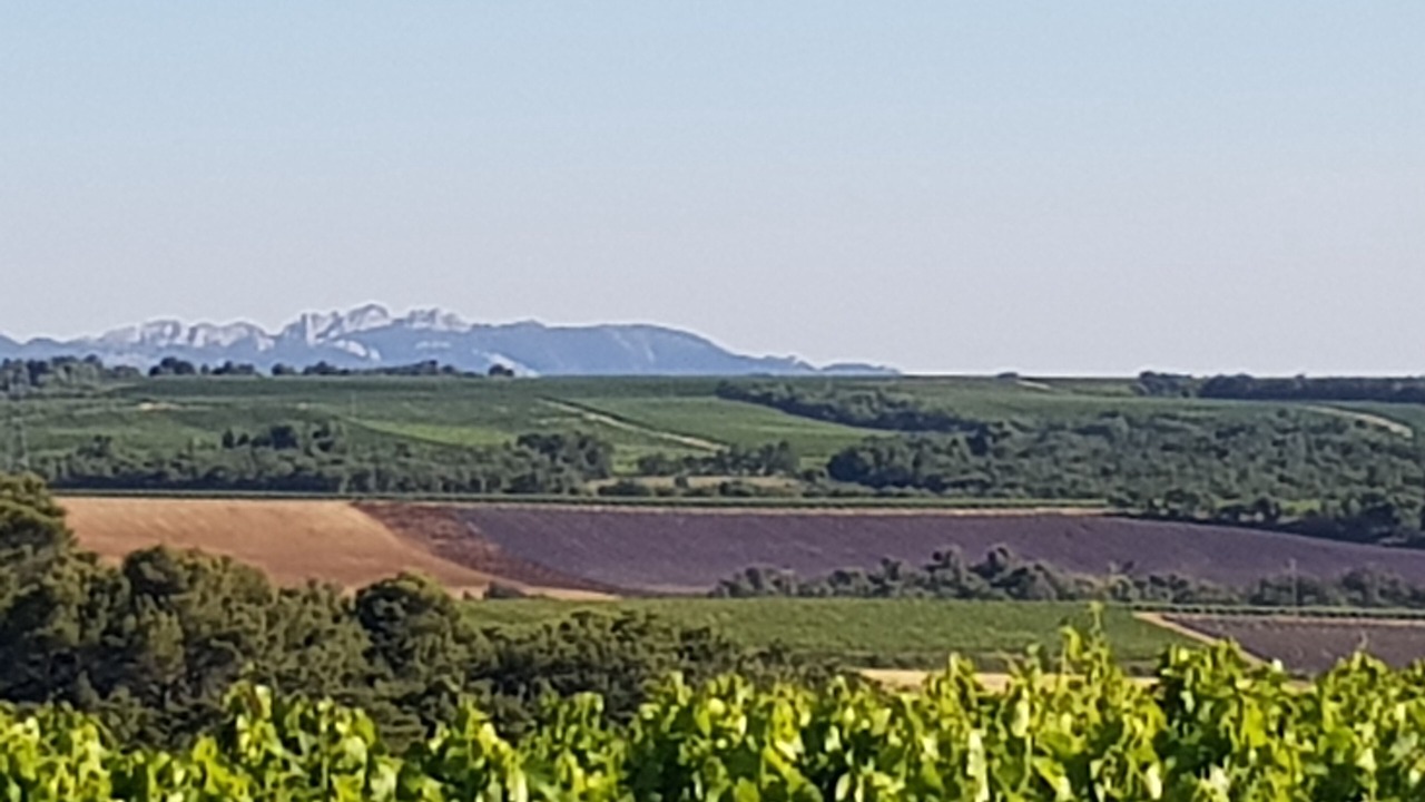 Photo of Others in Vinsobres