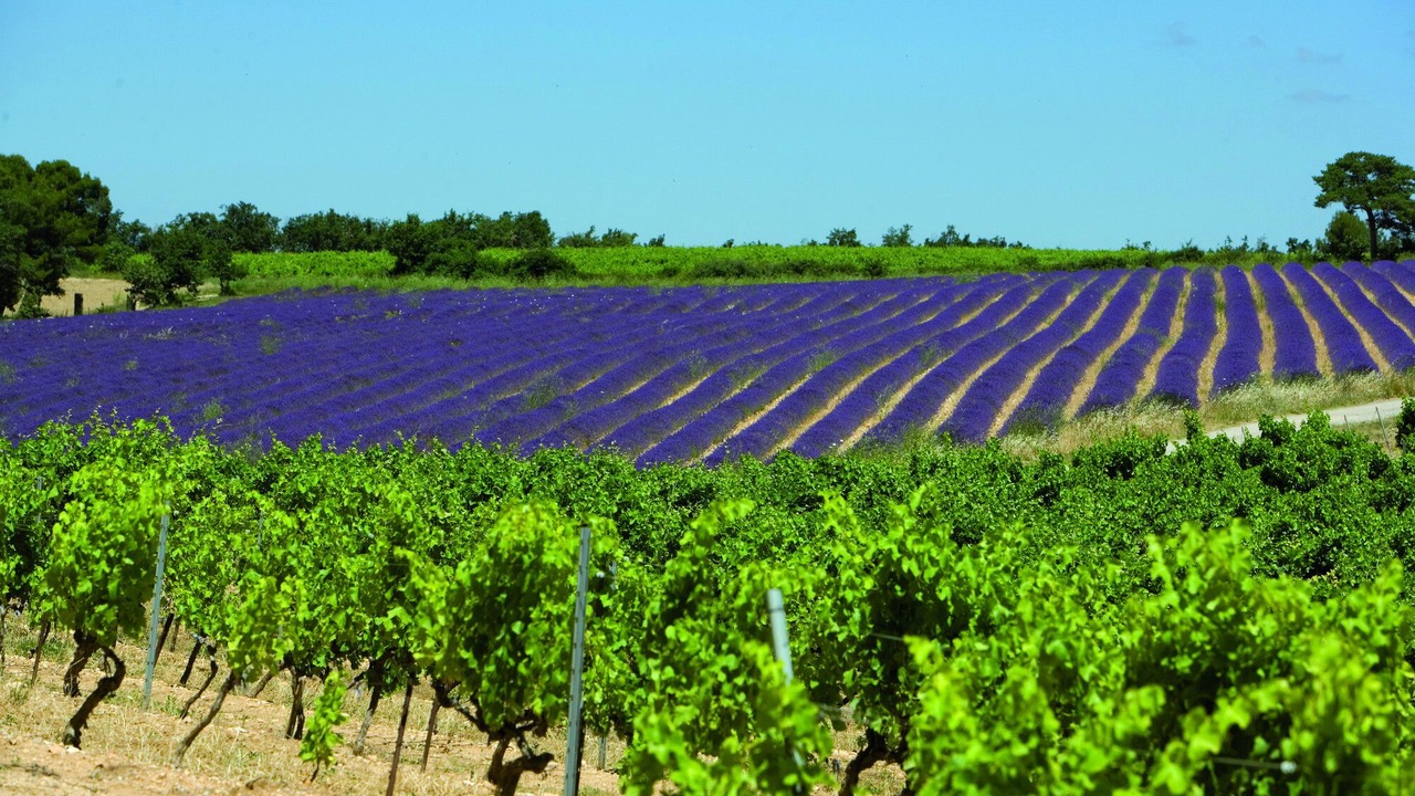 Photo of Outdoor in Vinsobres