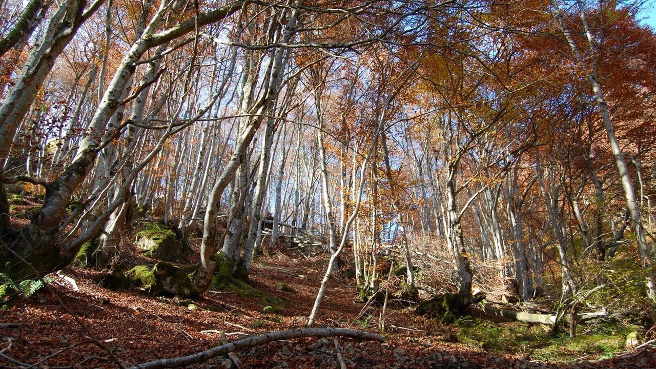 Photo of Outdoor in Moulis