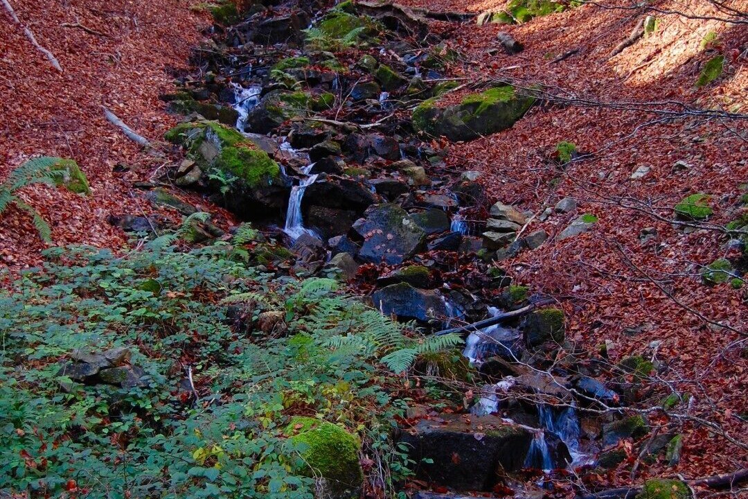 Photo of Outdoor in Moulis