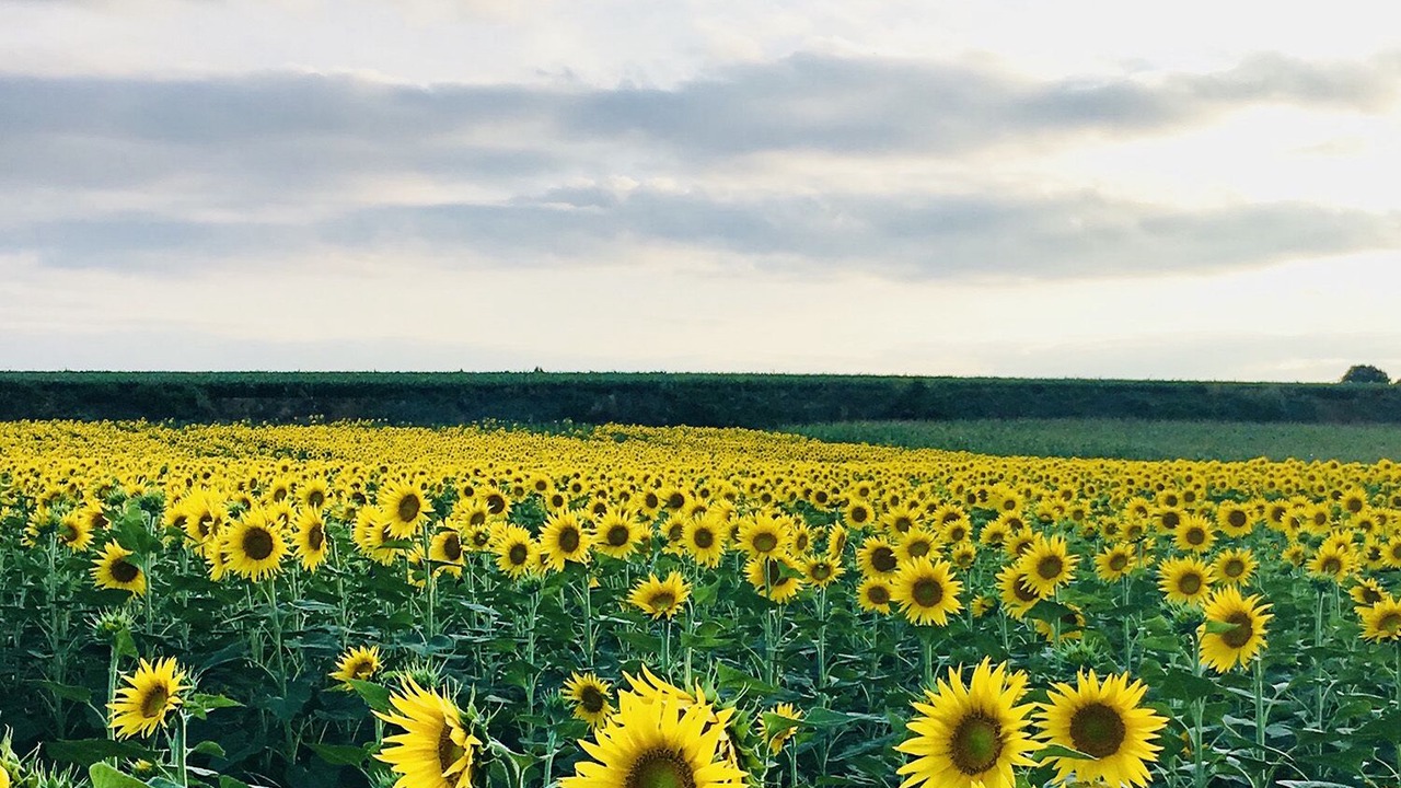 Photo of Others in Durfort