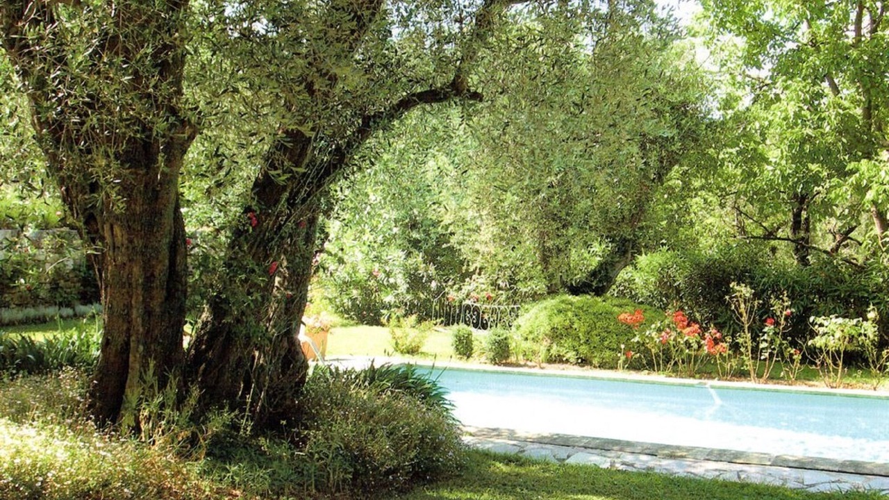 Photo of Outdoor in Le Rouret