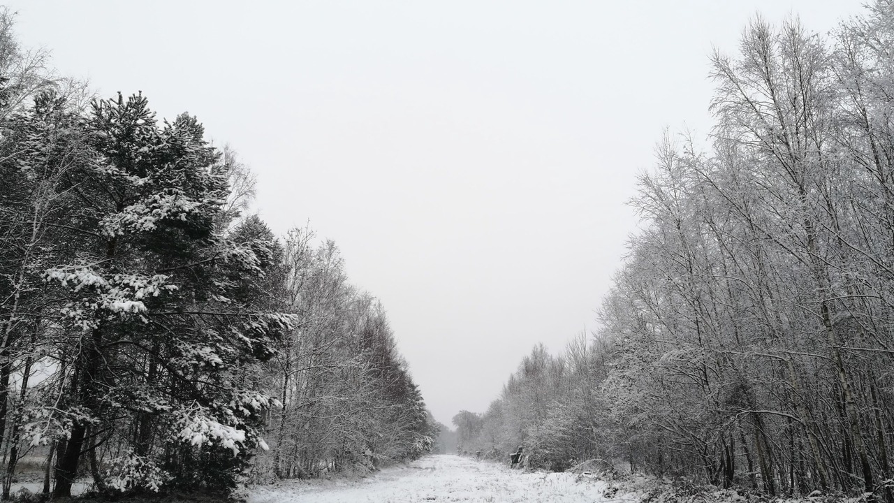 Photo of Others in Souesmes