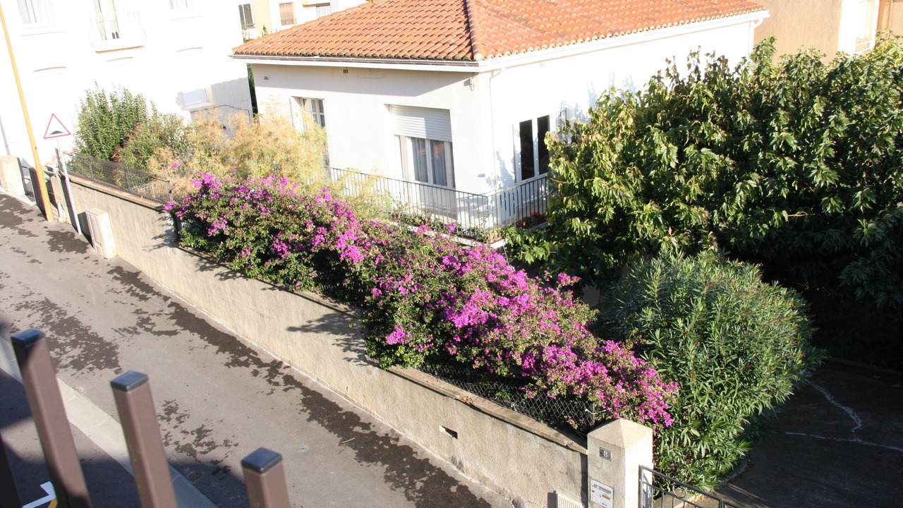 Photo of Outdoor in Port-Vendres