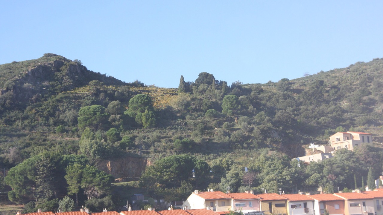Photo of Outdoor in Port-Vendres