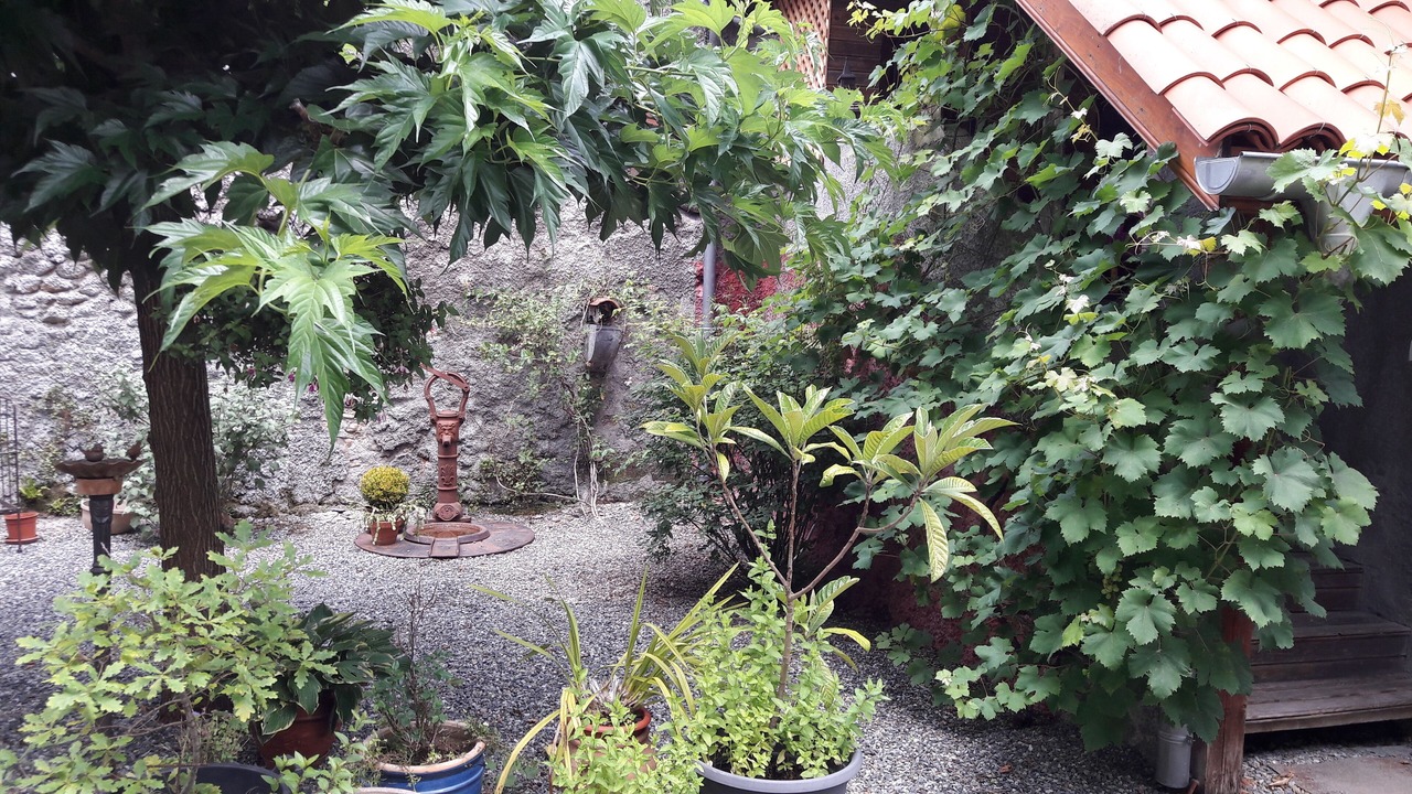 Photo of Outdoor in Montegut