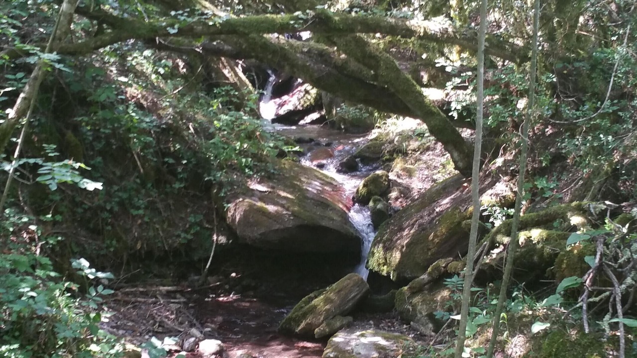 Photo of Outdoor in Saint-Sauveur-sur-Tinee