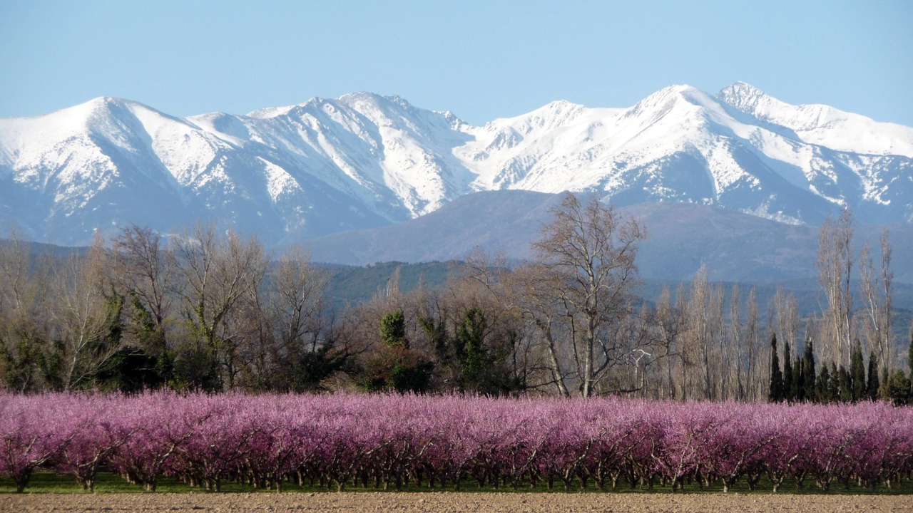 Photo of Outdoor in Prades