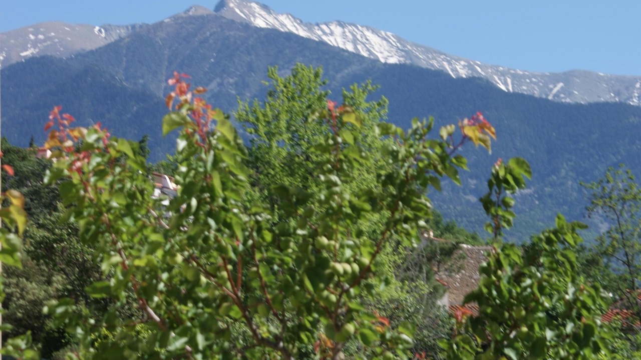 Photo of Others in Prades