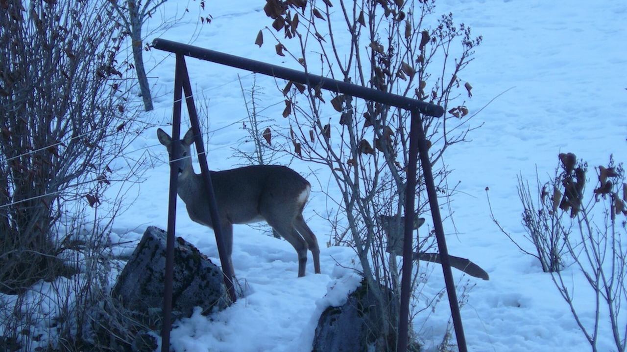 Photo of Others in Villard-de-Lans