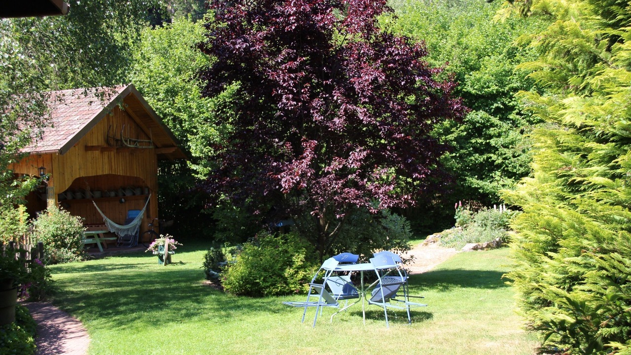Photo of Outdoor in Provencheres-sur-Fave