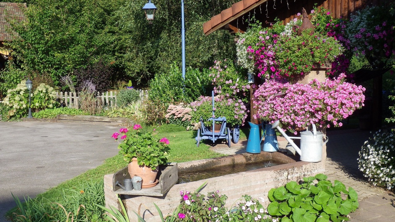 Photo of Outdoor in Provencheres-sur-Fave