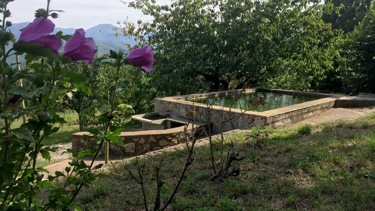 Photo of Outdoor in Montferrer