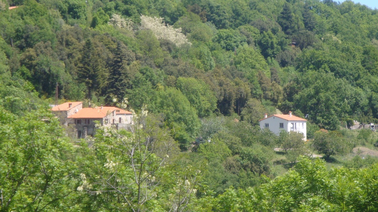 Photo of Outdoor in Montferrer