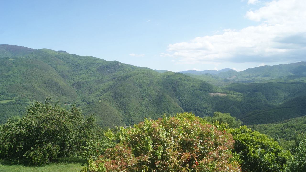 Photo of Outdoor in Montferrer